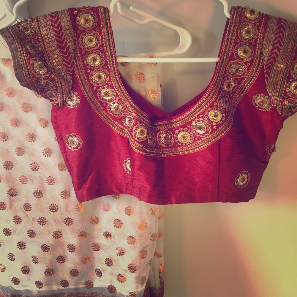 Pakistani Indian Saree